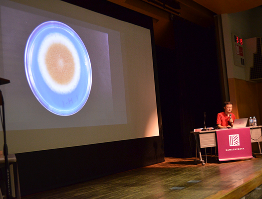 麹菌の胞子について