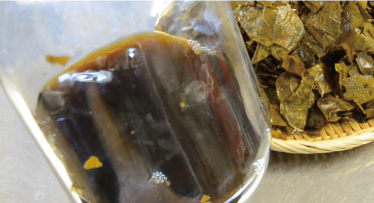 2～4ヶ月たつと、茶色の液体ができる