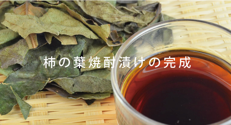 柿の葉焼酎漬けの完成