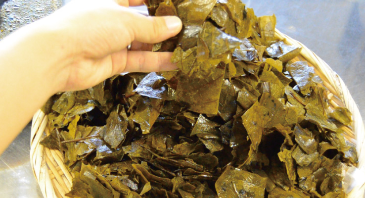 葉も有効活用できる