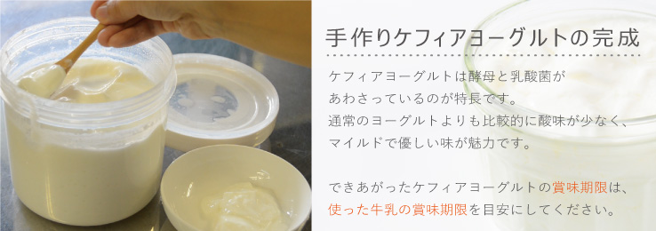 ヨーグルトメーカーで作るケフィアヨーグルトの完成