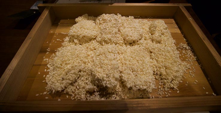 麹づくりワークショップ