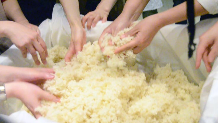 麹づくりワークショップ