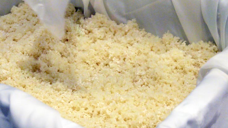 麹づくりワークショップ