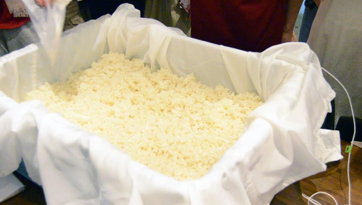 麹づくりワークショップ