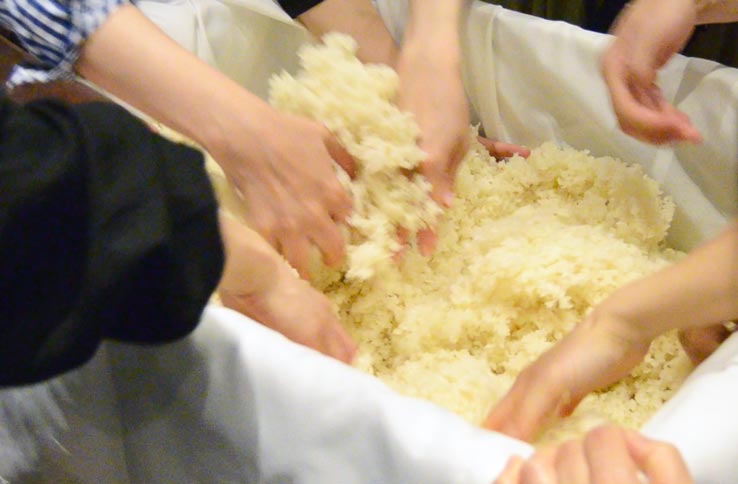 麹づくりワークショップ