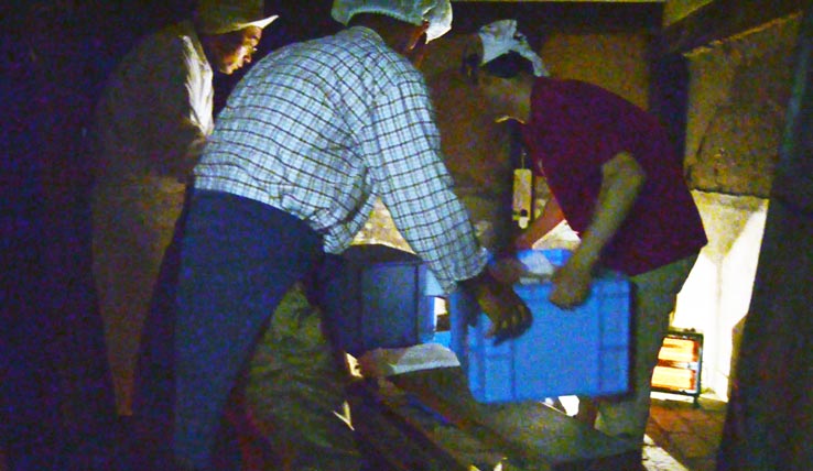 麹づくりワークショップ