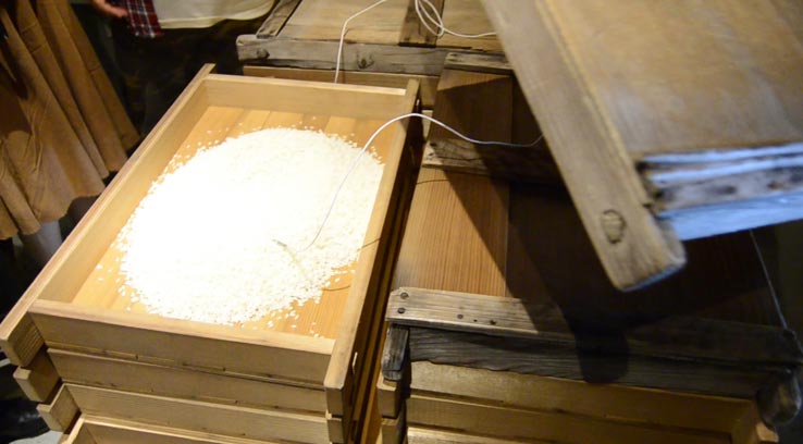 麹づくりワークショップ