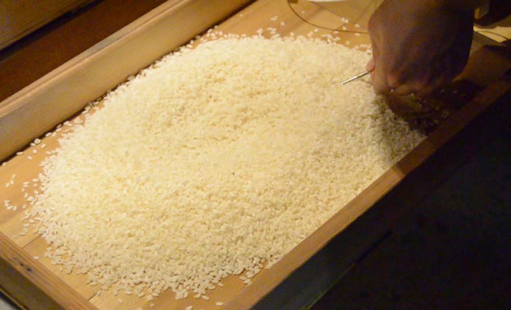 麹づくりワークショップ