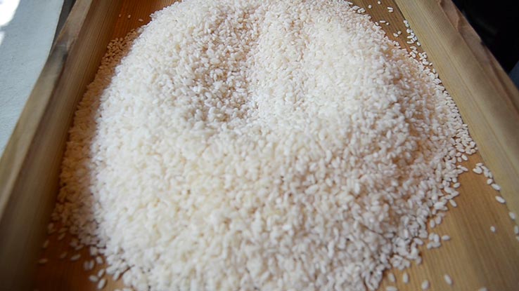 麹づくりワークショップ