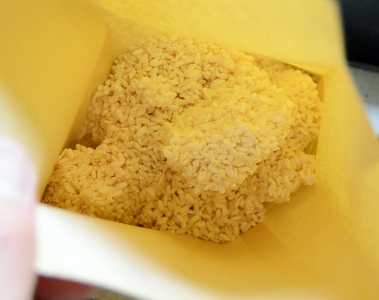 麹づくりワークショップ