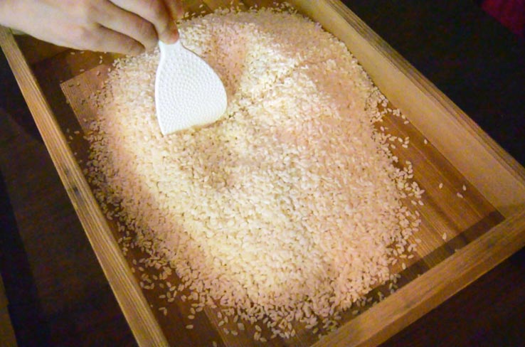 麹づくりワークショップ