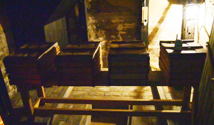 麹づくりワークショップ