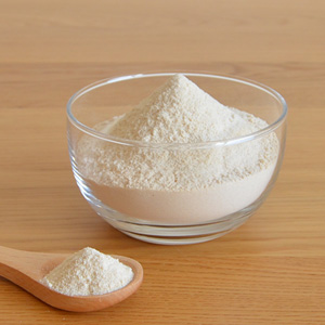 乳酸菌の種類と効果