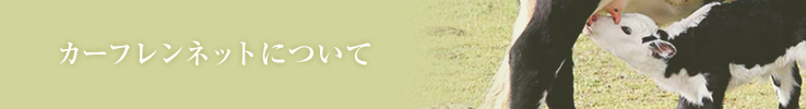 カーフンレンネット