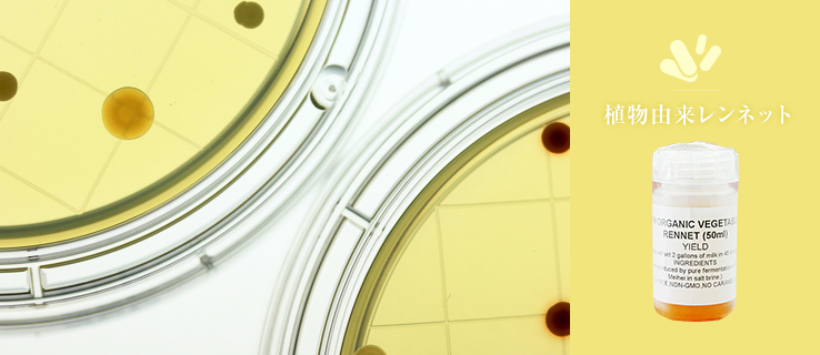 動物性レンネット