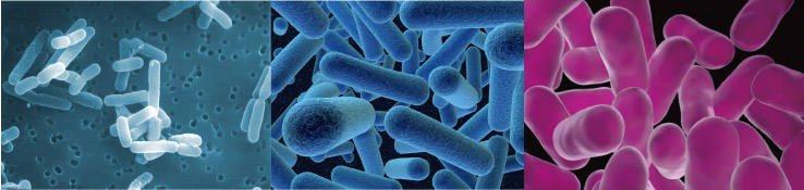 チーズ作りにまつわるお役立ち情報