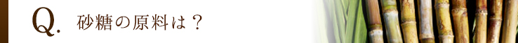 砂糖の原料は？