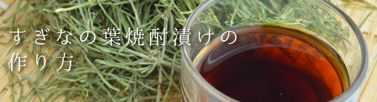 すぎなの葉焼酎漬けの作り方