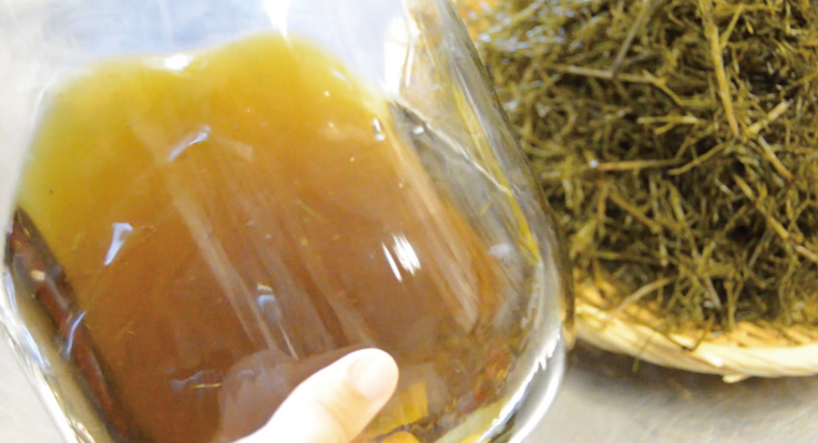 2～4ヶ月たつと、茶色の液体ができる