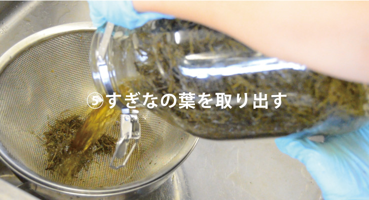 すぎなの葉を取り出す