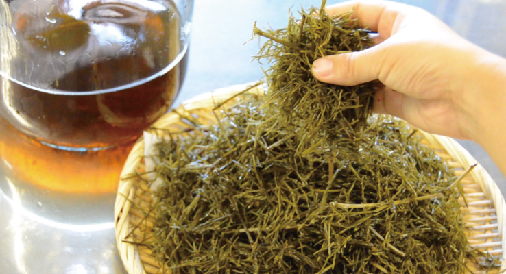 葉も有効活用できる