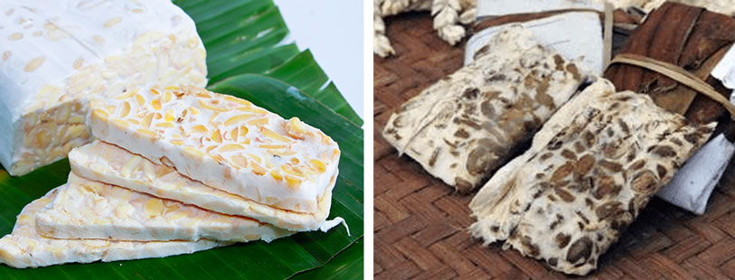 良いテンペ　腐っているテンペ