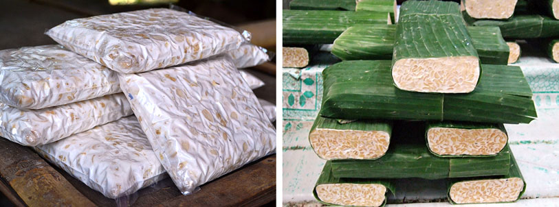 ビニール袋のテンペ　バナナの葉のテンペ