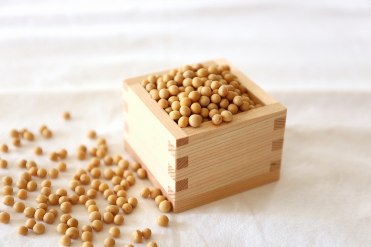 不溶性食物繊維のはたらき