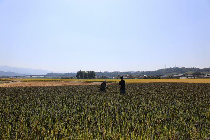 おがた健康農園