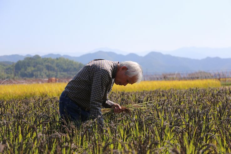 おがた健康農園