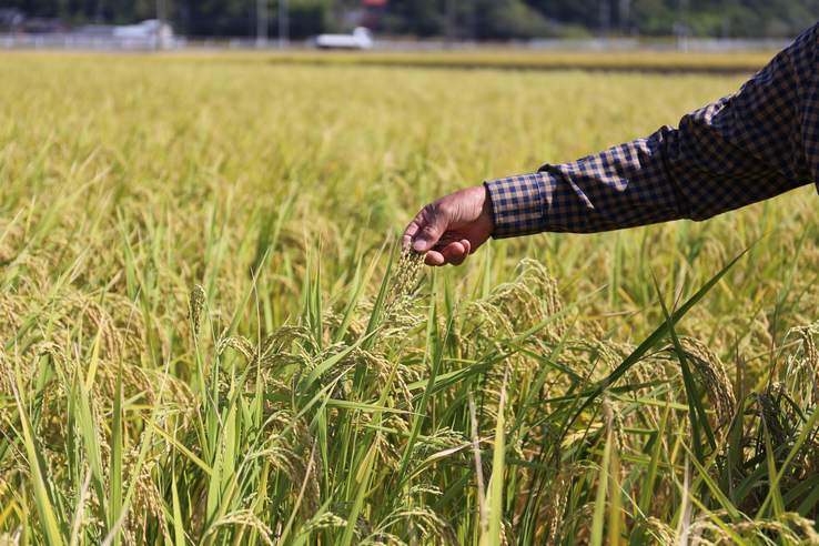 おがた健康農園