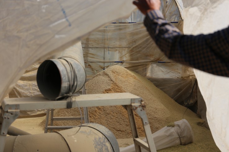 おがた健康農園