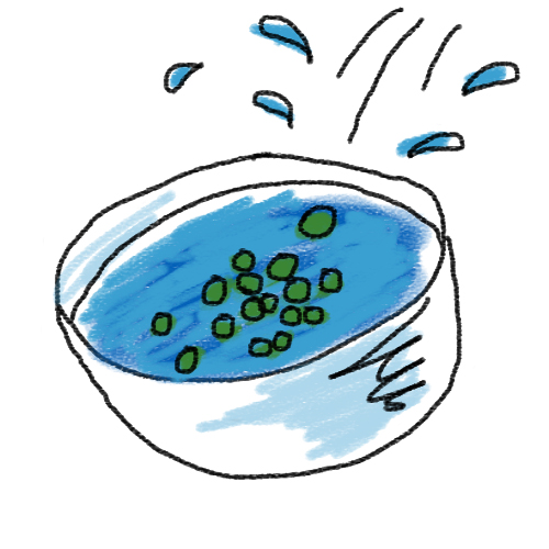 実山椒の下ごしらえ方法