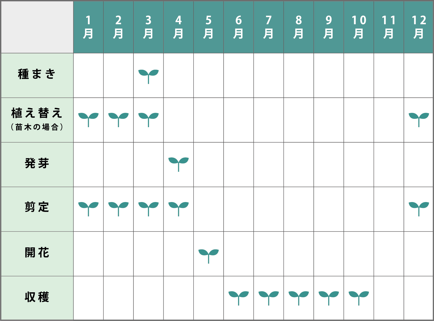 山椒の栽培方法