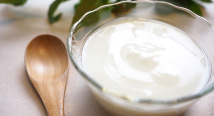 新鮮でおいしい手作りヨーグルトの完成