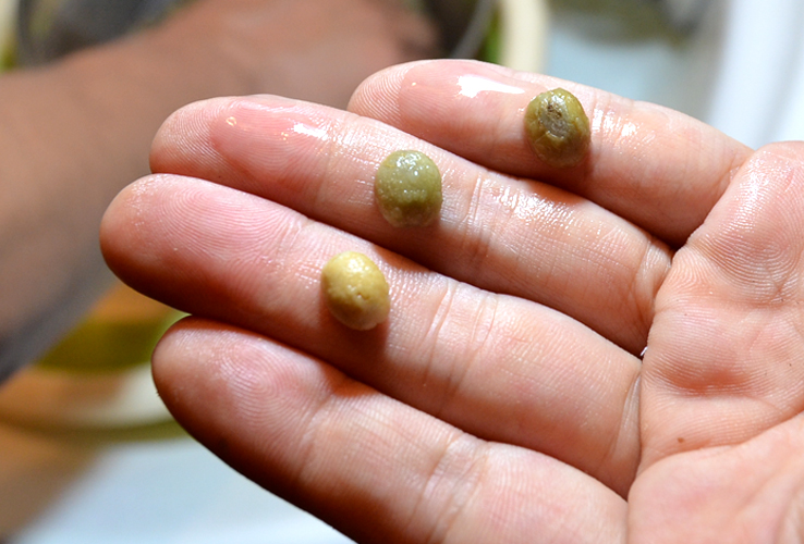 洗った後の欠点豆