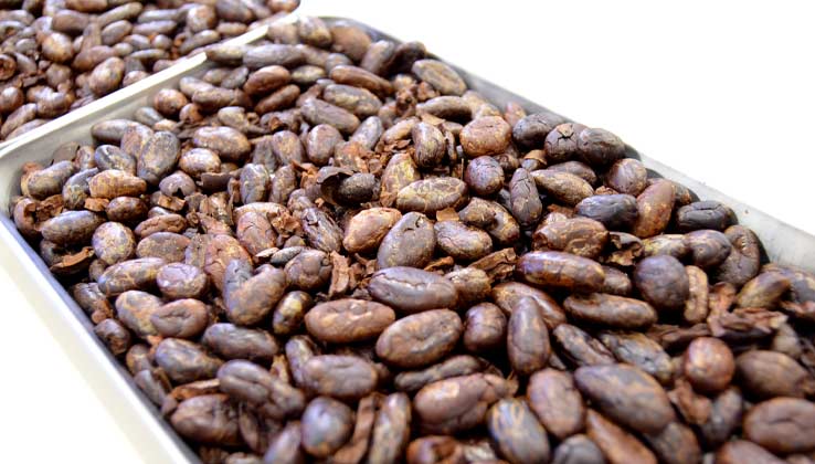 カカオ豆アップ