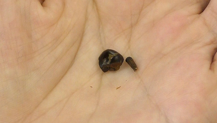 手網式焙煎機に入れ、火にかける