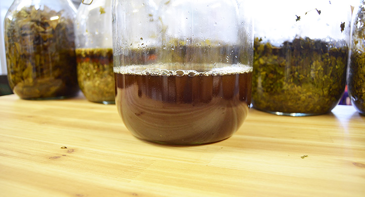 グァバエキス完成