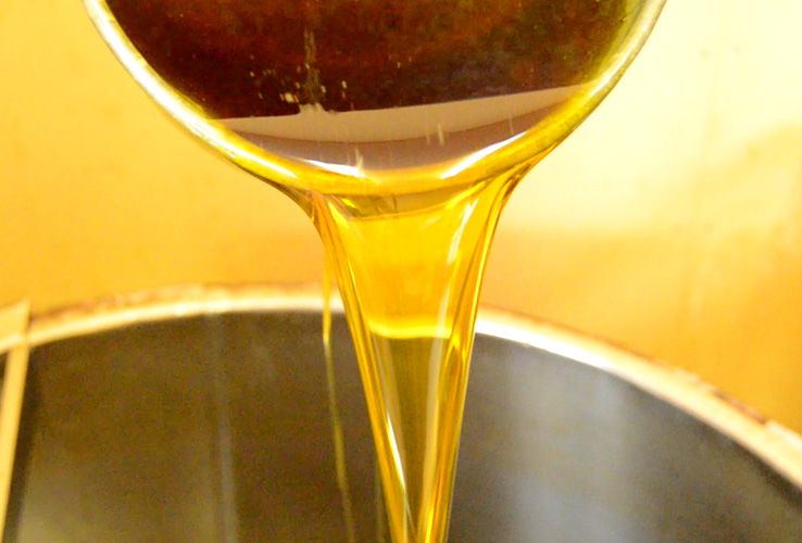 搾りたて菜種油