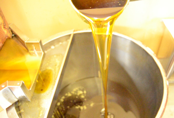 菜種油の出来上がり