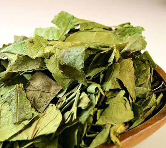 鹿児島県産柿の葉300ｇ