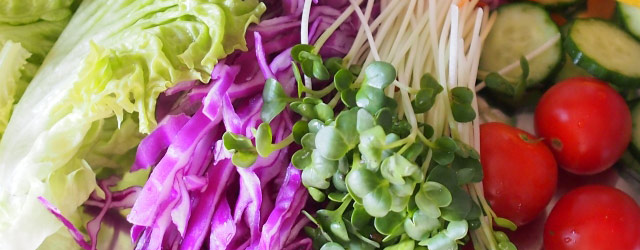 米麹は酵素が豊富に含まれています