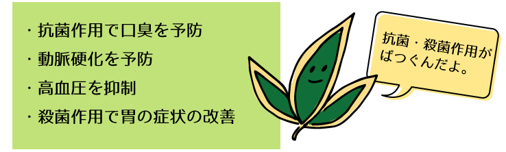 クマザサの効能