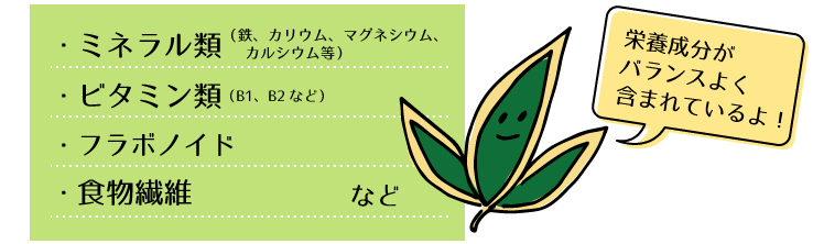 クマザサの栄養素