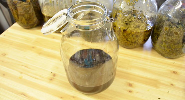 桑の葉エキス完成