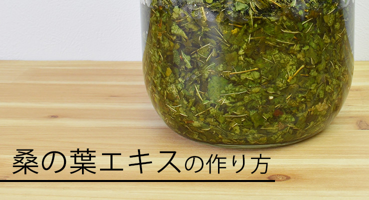 桑の葉エキスの作り方