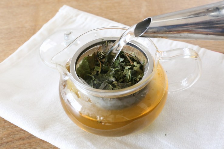 急須で淹れる場合