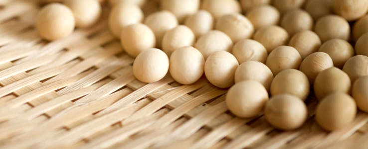 味噌づくりに向いている大豆